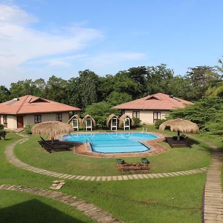 Hibiscus Garden Hotel Tissamaharama Kültér fotó