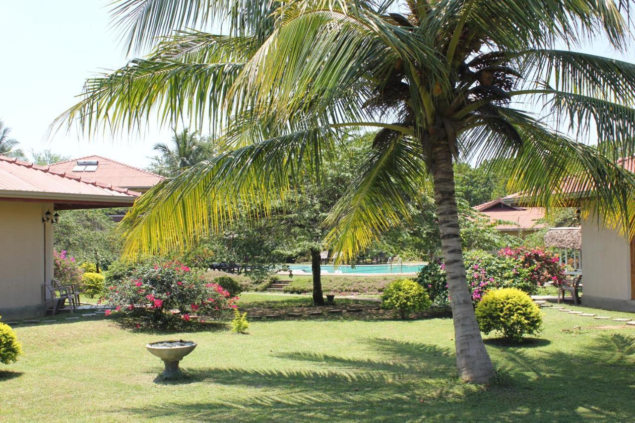 Hibiscus Garden Hotel Tissamaharama Kültér fotó