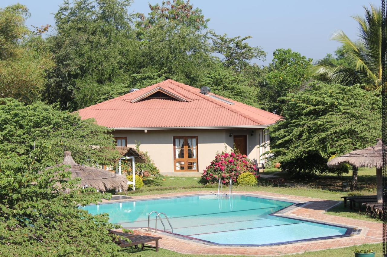 Hibiscus Garden Hotel Tissamaharama Kültér fotó