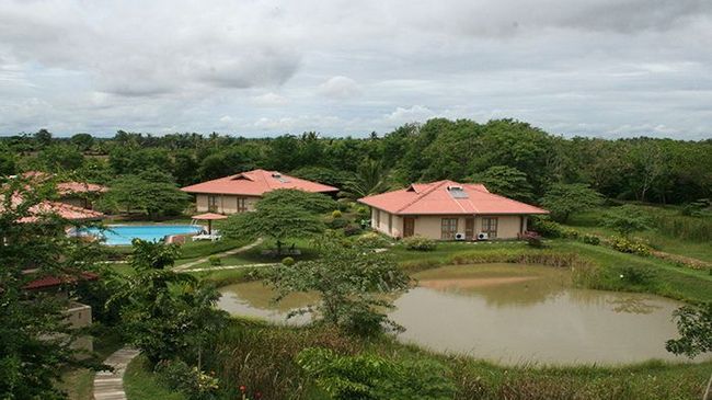 Hibiscus Garden Hotel Tissamaharama Kültér fotó