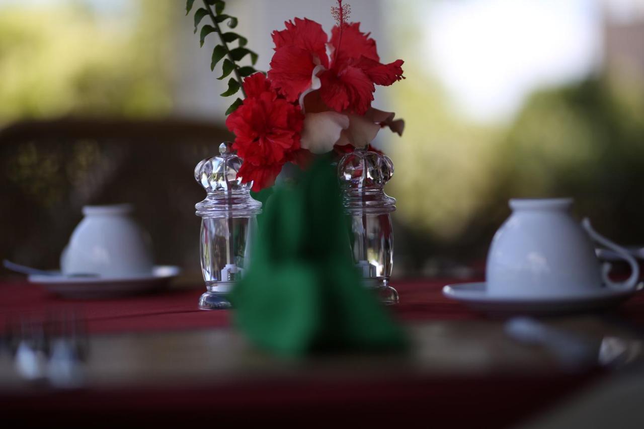Hibiscus Garden Hotel Tissamaharama Kültér fotó
