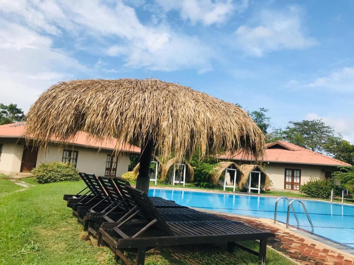 Hibiscus Garden Hotel Tissamaharama Kültér fotó